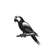 perroquet silhouette sur blanc Contexte. des oiseaux silhouette. perroquet logo, illustration vecteur