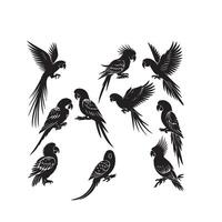 perroquet silhouette sur blanc Contexte. des oiseaux silhouette. perroquet logo, illustration vecteur