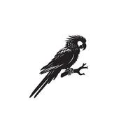 perroquet silhouette sur blanc Contexte. des oiseaux silhouette. perroquet logo, illustration vecteur
