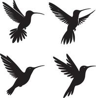 bourdonnement oiseau silhouette collection illustration vecteur