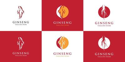 ginseng logo à base de plantes plante Naturel à base de plantes médicament ginseng à base de plantes icône paquet prime vecteur