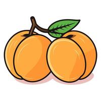 une icône représentant un abricot, idéal pour illustrant fruit, nourriture, ou en bonne santé en mangeant thèmes. vecteur