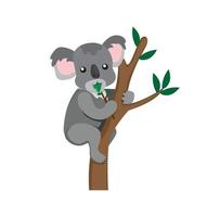 koala mangeant des feuilles d'eucalyptus, animal marsupial d'australie dessin animé plat illustration vecteur isolé sur fond blanc