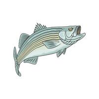 rayé basse pêche illustration logo image t chemise vecteur