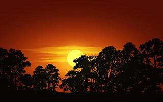 illustration dramatique du coucher du soleil de la forêt. arbre coucher de soleil silhouette vecteur