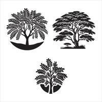 acacia arbre silhouette icône graphique logo conception vecteur