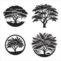 acacia arbre silhouette icône graphique logo conception vecteur