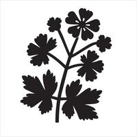 alchémille fleur silhouette icône graphique logo conception vecteur