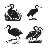 africain Jacana silhouette icône graphique logo conception vecteur