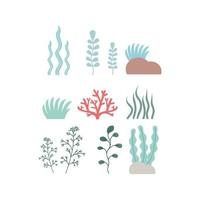 ensemble d'algues et de corail sur fond blanc. clipart algues et plantes marines, ensemble d'icônes. illustration vectorielle de dessin animé. vecteur