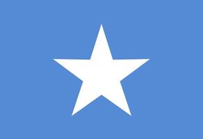 somalien drapeau illustrateur pays drapeaux vecteur