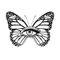 papillon et femelle œil vecteur
