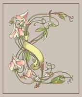 main dessiner ancien style art nouveau botanique ficelle floral et ruban décoratif Cadre vecteur