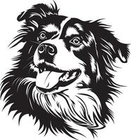 australien berger chien clipart, australien berger noir vecteur