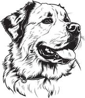 st. Bernard chien clipart, st. Bernard noir vecteur