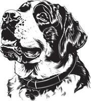 st. Bernard chien clipart, st. Bernard noir vecteur