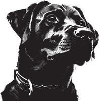 Labrador retriever chien clipart, Labrador retriever noir vecteur