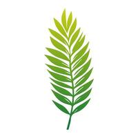 vert feuille icône. éléments conception pour naturel, éco, végétalien, bio Étiquettes vecteur