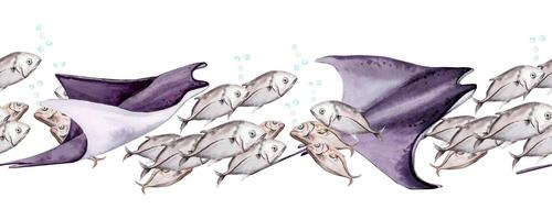 violet manta des rayons nager avec une école de poisson. sans couture frontière mer sous-marin monde corail récif conception. main tiré aquarelle illustration isolé sur blanc Contexte. pour océan la toile bannières ou ruban vecteur