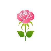 rose Rose fleurs, floral décoré avec magnifique multicolore épanouissement fleurs et feuilles frontière. printemps botanique plat illustration sur blanc Contexte vecteur