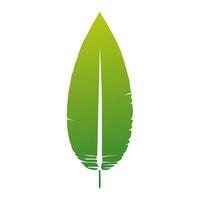vert feuille icône vert. éléments conception pour naturel, éco, végétalien, bio Étiquettes vecteur