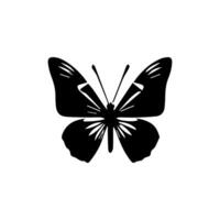 magnifique ornement papillon décoration élément conception vecteur