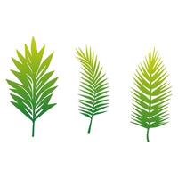 vert feuille icône vert. éléments conception pour naturel, éco, végétalien, bio Étiquettes vecteur