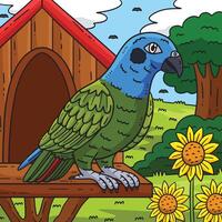 pion perroquet oiseau coloré dessin animé illustration vecteur