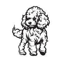 caniche chien. illustration de une caniche chien isolé sur blanc Contexte vecteur