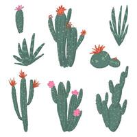 épanouissement cactus ensemble. exotique désert cactus, sauvage végétaux, épineux succulentes. botanique illustration collection. mignonne plat agrafe les arts isolé sur blanche. vecteur