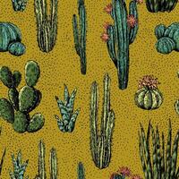 cactus et plantes succulentes main tiré sans couture modèle. graphique encre croquis de différent désert les plantes. abstrait coloré botanique Contexte conception pour fond d'écran, envelopper, textile, tissu, carte, impression vecteur
