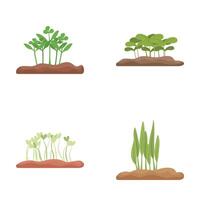 ensemble de plante croissance étapes des illustrations vecteur