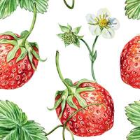 fraise sans couture modèle, aquarelle. fleurs, vert feuilles et rouge baies. illustration. pour emballage papier, tissu, fond d'écran, textile, couvertures, jus Étiquettes, Confiture, cosmétique des produits. vecteur