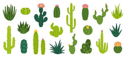 cactus. désert usine, mexicain cactus fleur, aloès, succulent. dessin animé décoratif jardinage cactus, Accueil végétaux, été Mexique la nature les plantes. plat ensemble vecteur