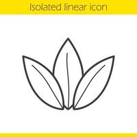 icône linéaire de feuilles de thé en vrac. illustration de la ligne mince. symbole de contour. dessin de contour isolé de vecteur