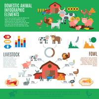 Infographie des animaux domestiques vecteur