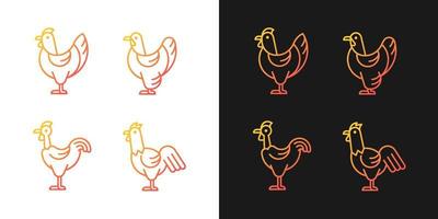 icônes de dégradé de races de poulet définies pour les modes sombre et clair. poule brahma. poulet de Transylvanie. paquet de symboles de contour de ligne mince. collection d'illustrations vectorielles isolées en noir et blanc vecteur