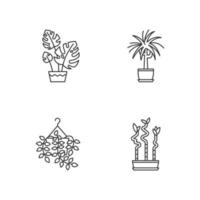 Ensemble d'icônes linéaires parfaites de pixel de plantes domestiquées. plantes d'intérieur. pothos, dracaena. monstère, bambou. symboles de contour de ligne mince personnalisables. illustrations de contour de vecteur isolé. trait modifiable