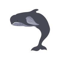 baleine vie nature vecteur