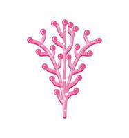mer de corail rose vecteur