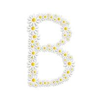 flore marguerite conception alphabet vecteur illustartion