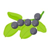 concepts d'aronia à la mode vecteur