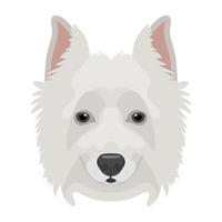 concepts de husky sibérien vecteur