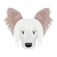 concepts de chien de berger shetland vecteur