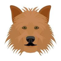 concepts de chien de berger shetland vecteur