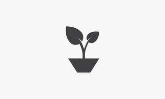 illustration vectorielle de pot de plante. icône créative. vecteur