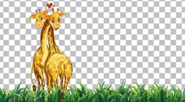 girafe sur le terrain en herbe sur fond de grille vecteur