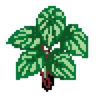 plantes de pixels pour les jeux et les sites Web vecteur