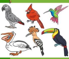 dessin animé oiseaux espèces animaux jeu de caractères