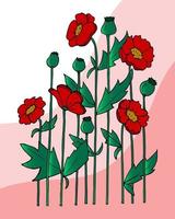 illustration vectorielle, faire-part de mariage, carte de lettrage, logo, coquelicots rouges sur vagues roses
